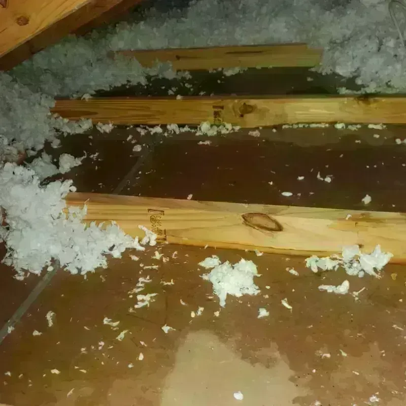 Attic Water Damage in Springville, UT