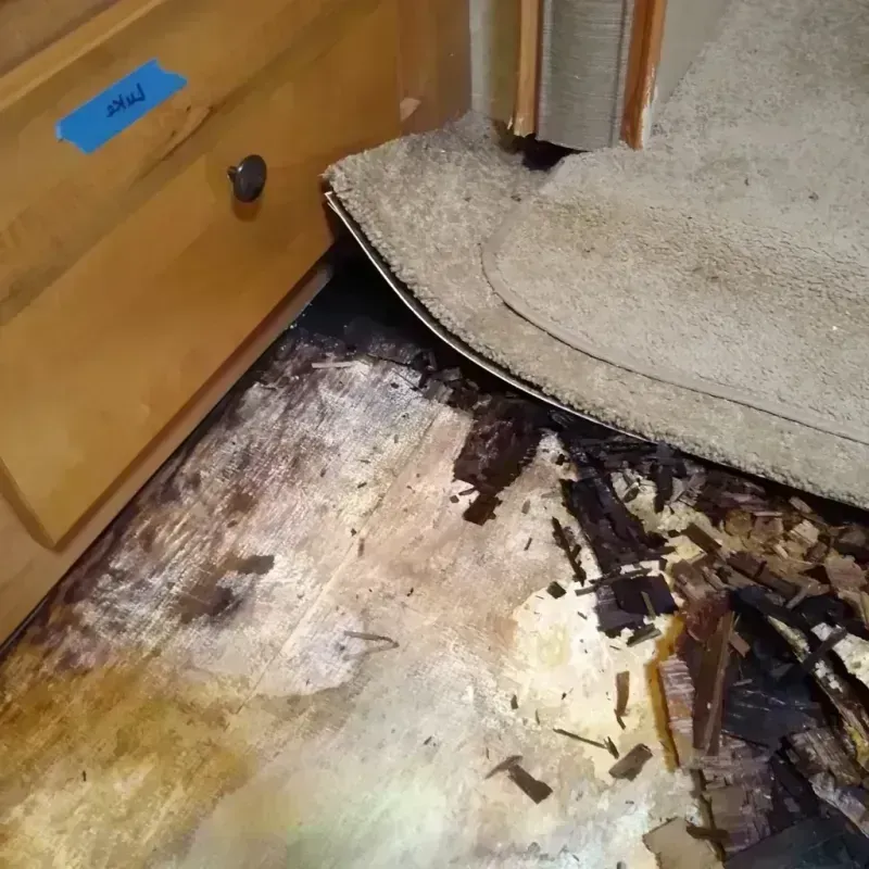 Wood Floor Water Damage in Springville, UT